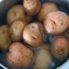 Budinca de cartofi