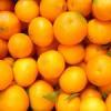 Cruson de portocale